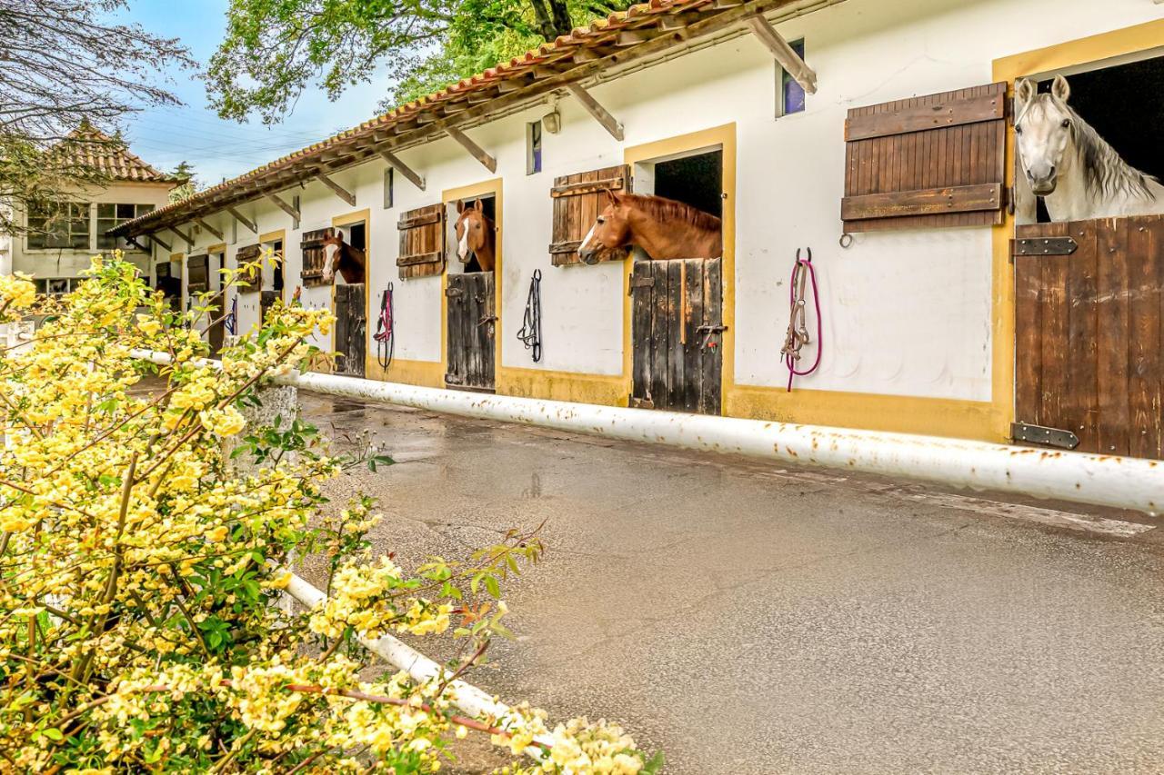 Сasa de vacaciones Quinta Do Boicao *